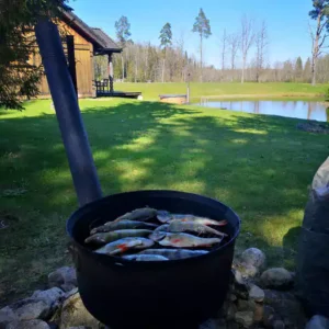 grilli-piknik